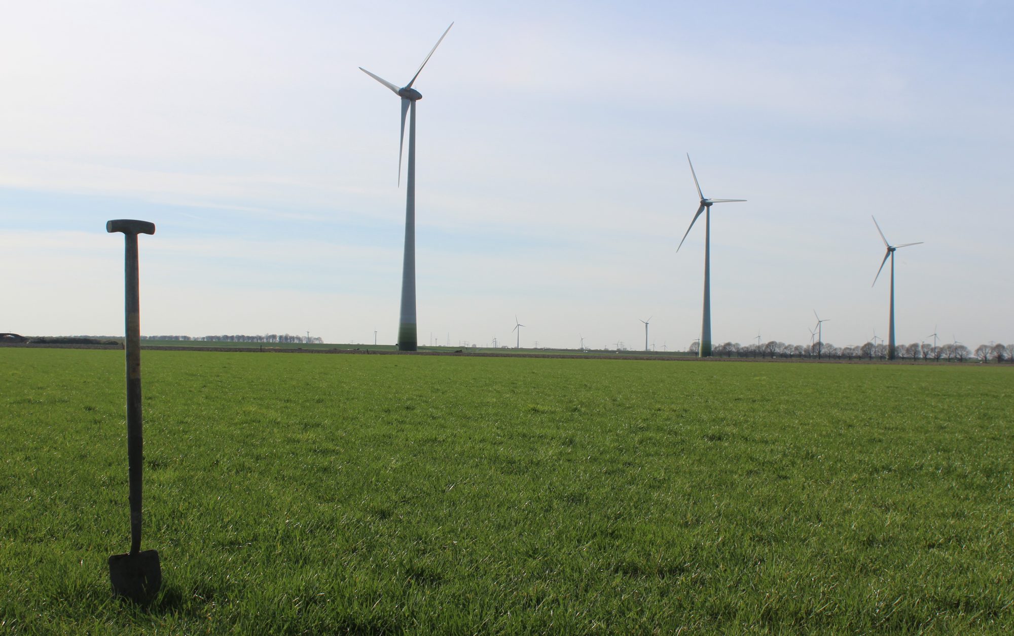 Economisch Wijzer